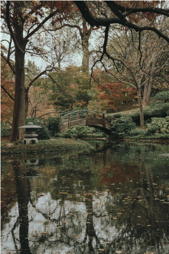 Japanese garden in For Worth Botanical Gardens